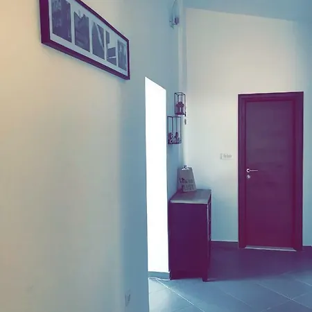 Marko * 普利莫顿